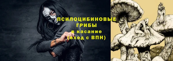 бошки Зерноград